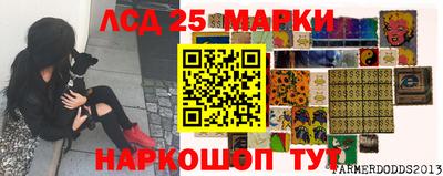 мяу мяу мука Новокубанск