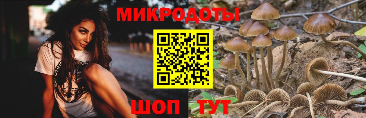 Галлюциногенные грибы прущие грибы  Галлюциногенные грибы мухоморы  Ступино  Вход с VPN 