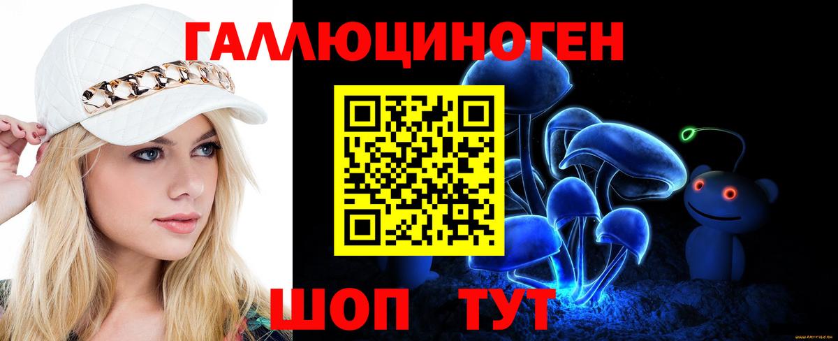 Псилоцибиновые грибы Cubensis Ступино